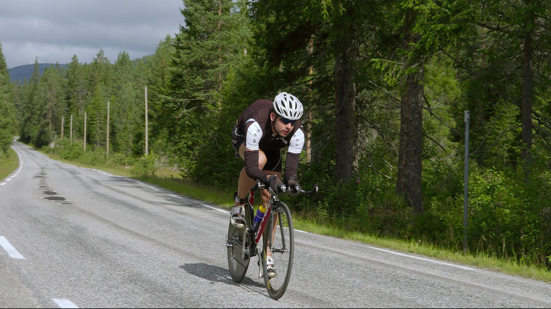 摩洛哥马术协会建立马匹基因数据库，促进马匹选育与训练。，摩洛哥的马