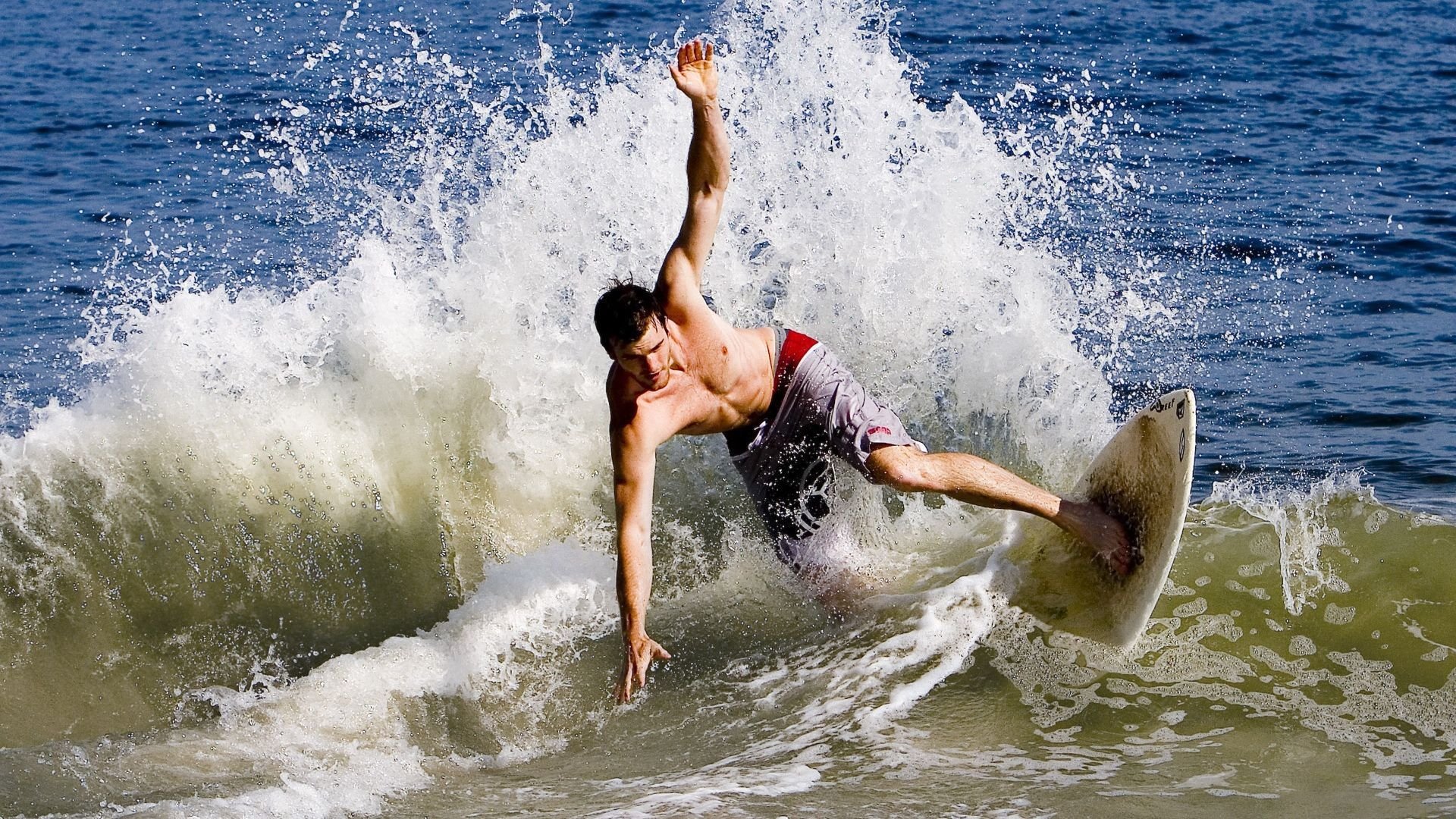 摩洛哥马术协会建立马匹基因数据库，促进马匹选育与训练。，摩洛哥的马